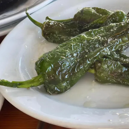 Ocra דירה יאיזה